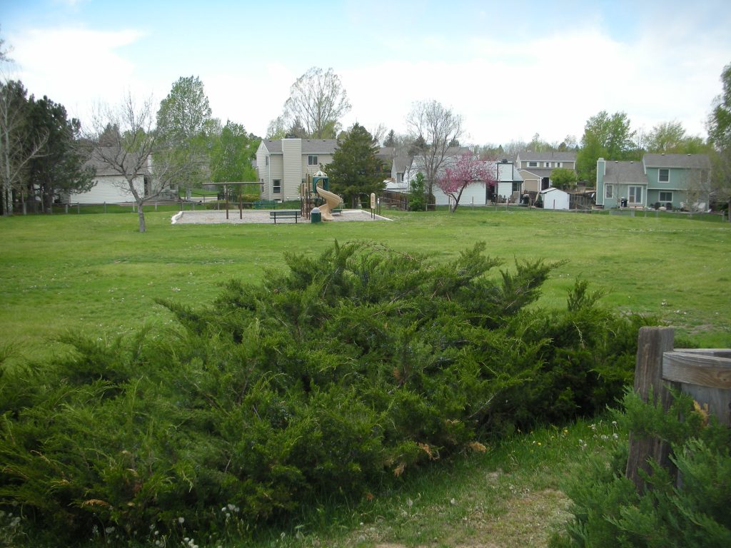 Arrowhead Park Shrubbery in front of Playground