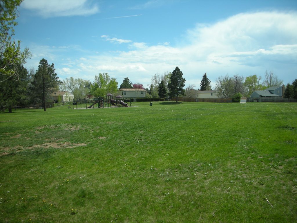 Gold Rush Park Green Grass