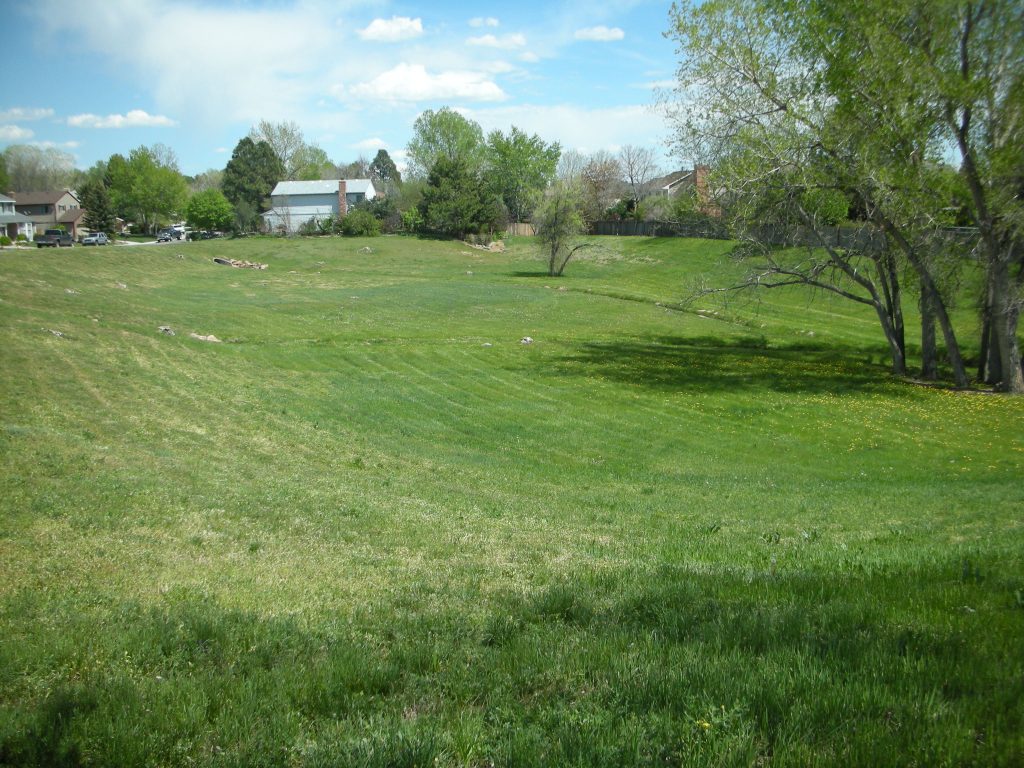 Running Creek Park in the summer